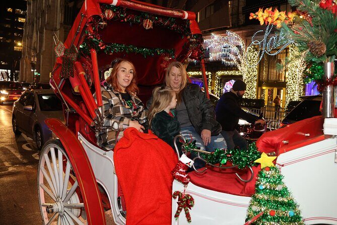 Christmas Light Private Carriage Ride New York City - Frequently Asked Questions