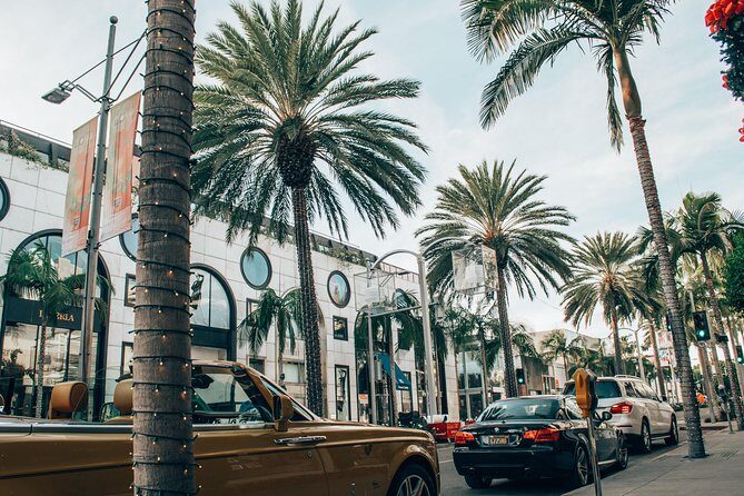 Christmas Lights in Beverly Hills - Private Guide and Free Coffee with Dessert - Final Thoughts: Who Should Consider This Tour?