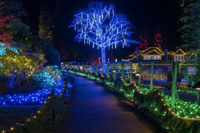 Christmas Lights Tour Butchart Gardens & City Tour in Victoria BC - What Makes This Tour Stand Out?