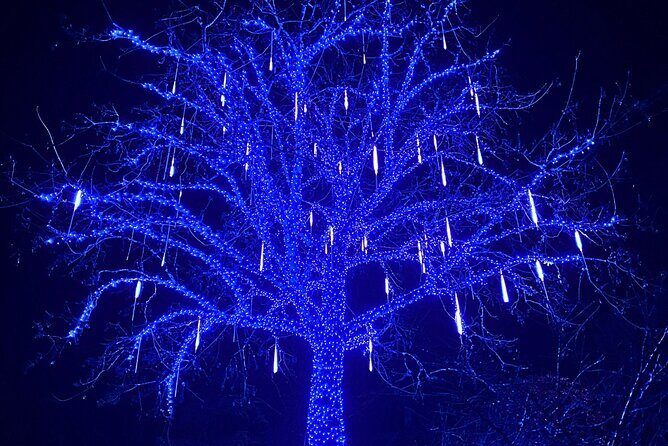 Christmas Lights Tour Butchart Gardens & City Tour in Victoria BC - Frequently Asked Questions