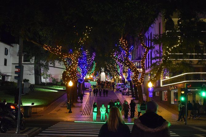 Christmas Lights Tukxi Tour (price per tukxi - up to 5 people) - Key Points