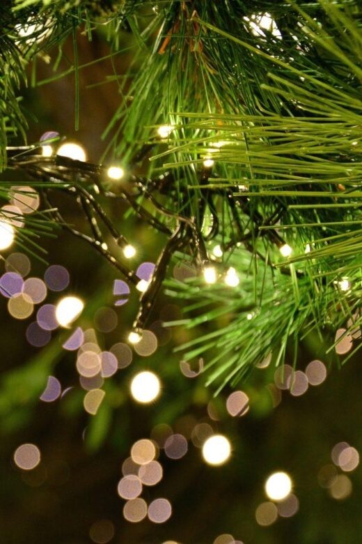 Christmas Tales in Canterbury  Private Walking Tour - The Sum Up: Is This Tour Worth It?