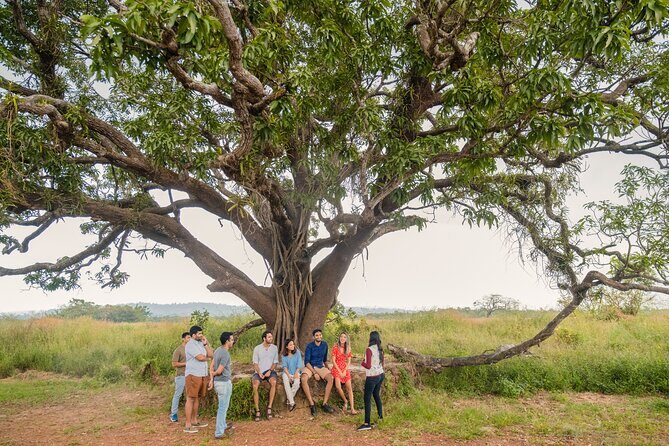 Chronicles and Echoes of Divar Island by Make It Happen - A Deep Dive into the Divar Island Tour