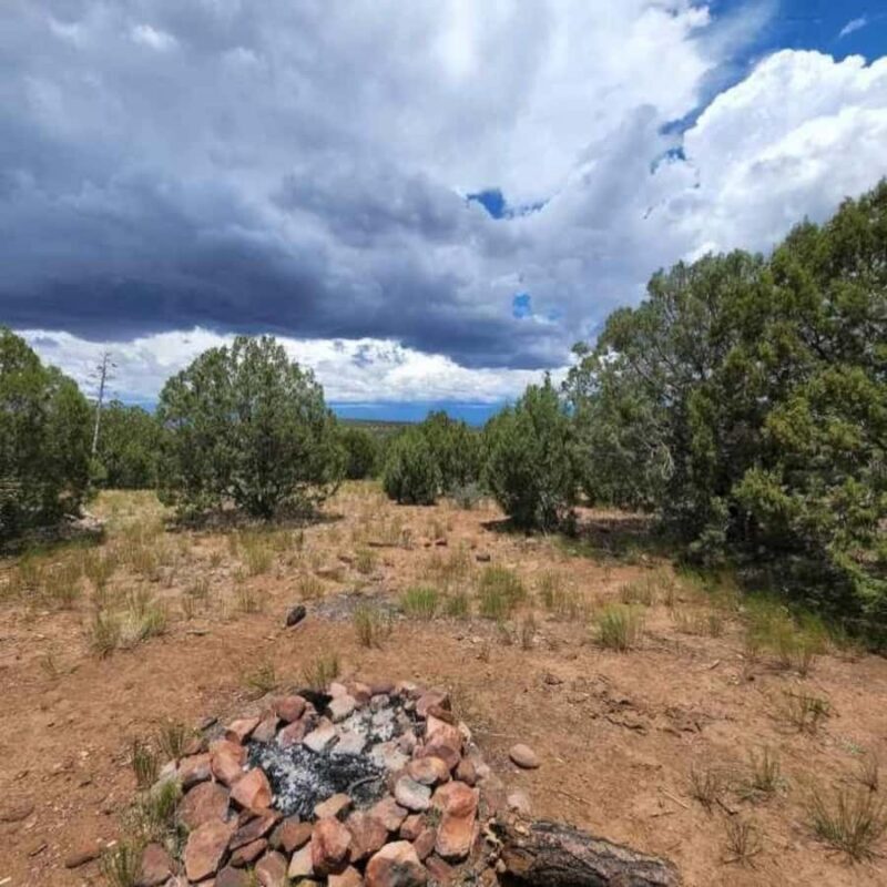 Chrysotile Arizona: Off-Roading to Regal Canyon Scenic Views - Detailed Breakdown of the Itinerary