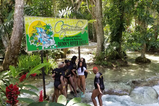 Chuck Norris Secret Falls and Dunn's River Falls - A Detailed Look at the Waterfalls and Experience