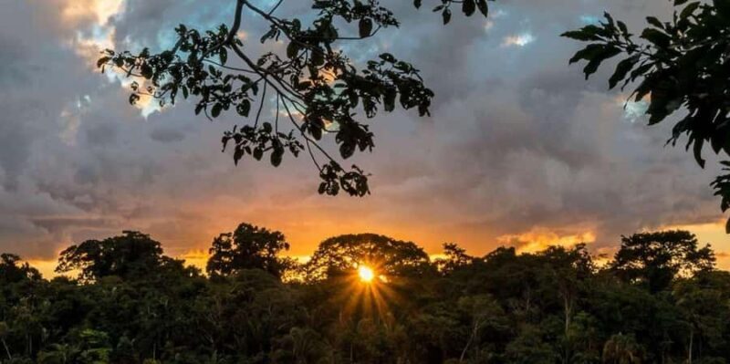 Chuncho Macaw Clay Lick - Full Day - Key Points