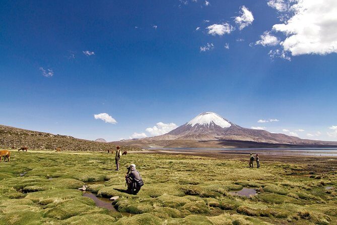 Chungara Lake - Final Thoughts: Is It Worth It?