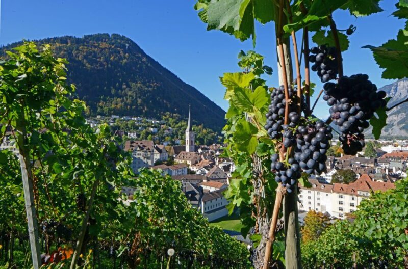 Chur: Altstadtführung - Exploring Chur’s Old Town: A Guided Walk Through History and Charm