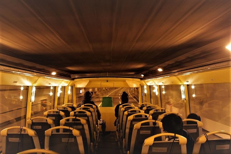 Churashima open top bus tour or Starry sky tour (Naha Departure) - Guide and audio: what to expect
