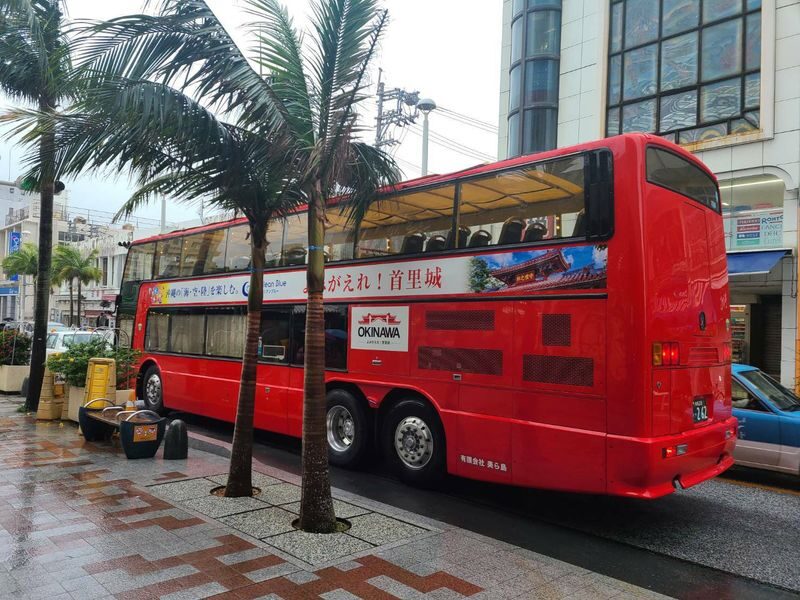 Churashima open top bus tour or Starry sky tour (Naha Departure) - Who will enjoy this tour most
