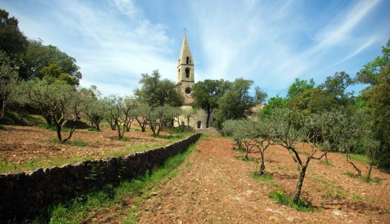 Churches of Provence & French Countryside Private Tour - The Sum Up