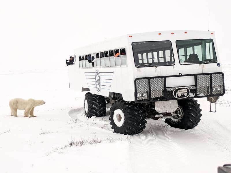 Churchill: Exclusive Tundra Buggy Day Trip - A Deep Dive into the Churchill Tundra Buggy Experience