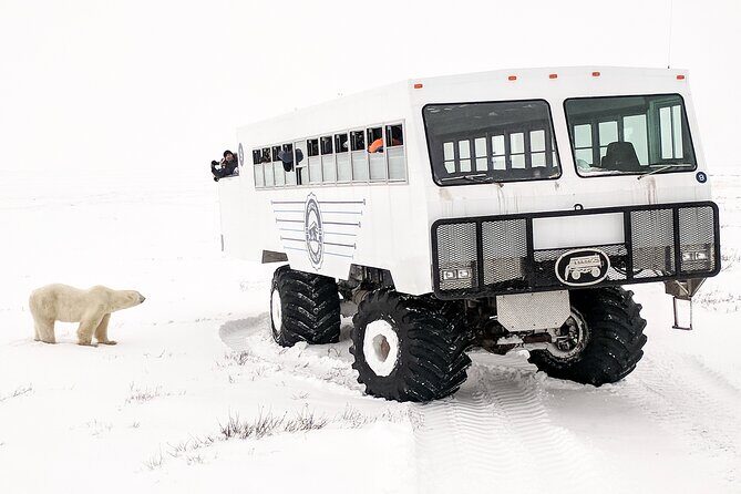 Churchill Polar Bear Experience  5-Night Classic Tour - FAQ