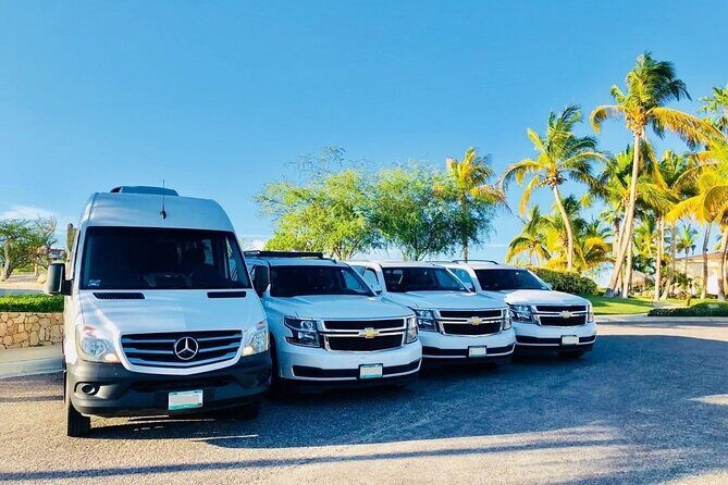 Cibao International Airport (STI) to Santiago - Round-Trip Private Transfer - Quick Overview of the Cibao Airport to Santiago Private Transfer
