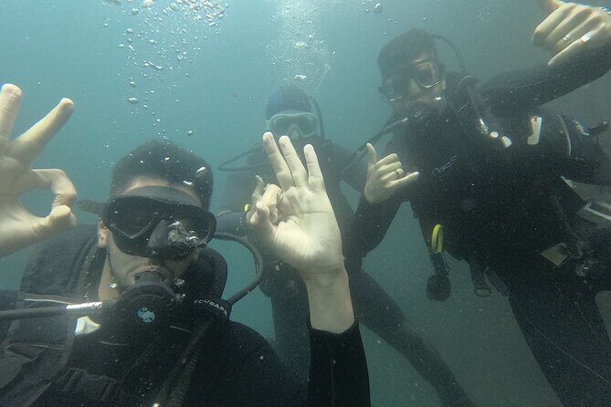 CIG Discovery Diving Tour - The Sum Up