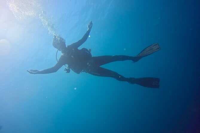 CIG Discovery Diving Tour - FAQ