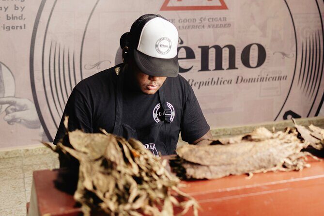 Cigar Factory Tour in Puerto Plata - A Deep Dive into the Cremo Cigar Factory Tour