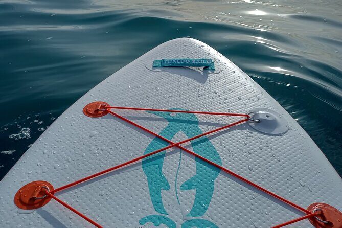 Cinque Terre by Sup - Frequently Asked Questions