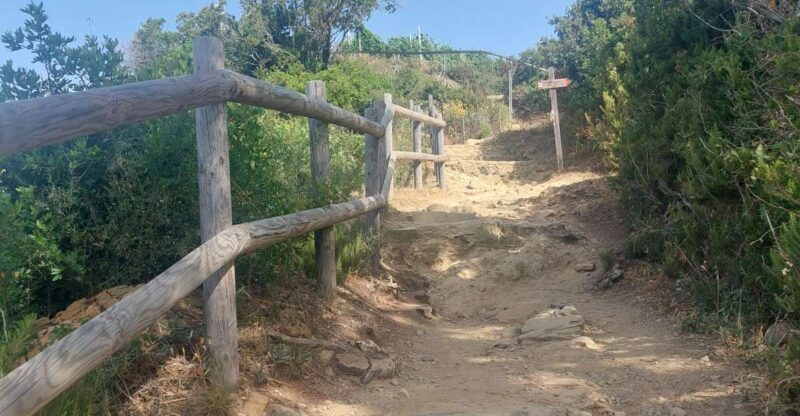 Cinque Terre from Riomaggiore to Manarola and vineyards - Final Thoughts