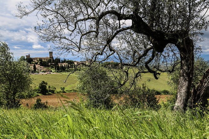 Cinque Terre Premium day trip with local guide from Florence - Who Will Love This Tour?