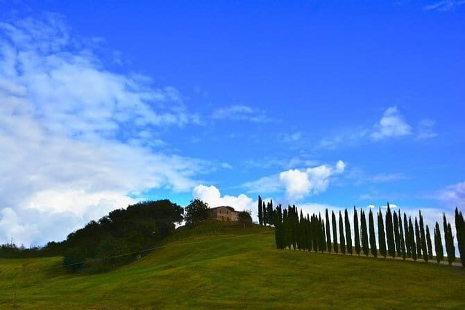 Cinque Terre Private with the leaning tower Pisa from Florence - Who Should Book This Tour?