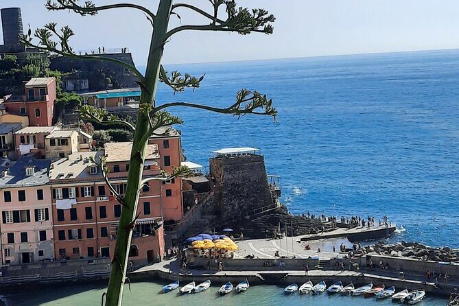 Cinque Terre Semi-Private Day Tour from Montecatini Terme - Transportation and Timing: What It Means for You