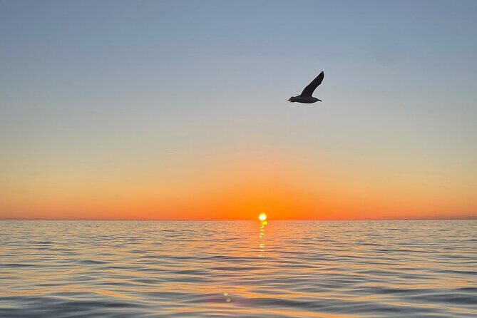 Cinque Terre Sunset Tour - Practical Details and Value