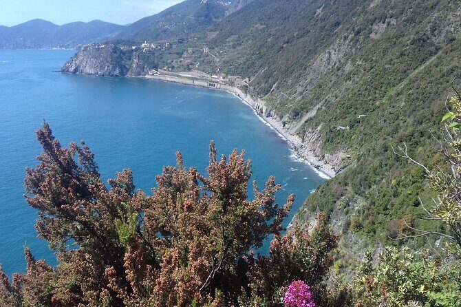 Cinque Terre unforgettable hiking experience - A Deep Dive Into the Cinque Terre Hiking Experience