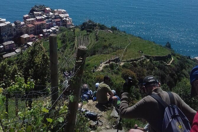 Cinque Terre unforgettable hiking experience - Authentic Travel in Cinque Terre: Who Will Love This?