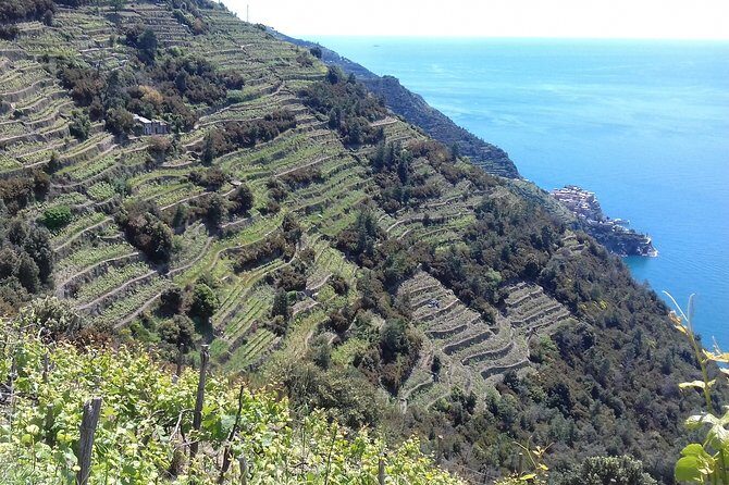 Cinque Terre unforgettable hiking experience - FAQs