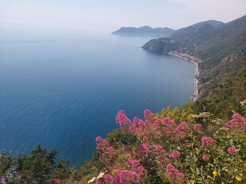 Cinque Terre Villages Walking panoramic tour - Why This Tour Offers Great Value