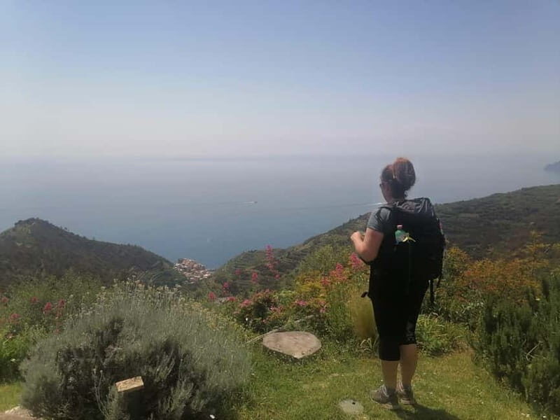 Cinque Terre Villages Walking panoramic tour - The Sum Up: The Perfect Day-Trip for Active Sightseers