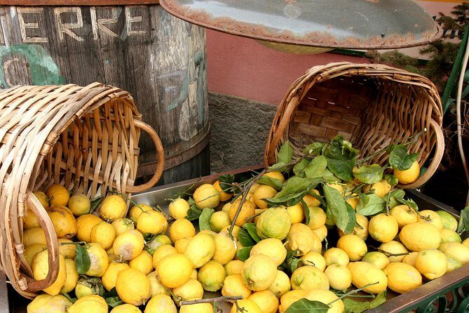 Cinqueterre and Pisa Shore Excursion from Livorno - The Price and Its Value