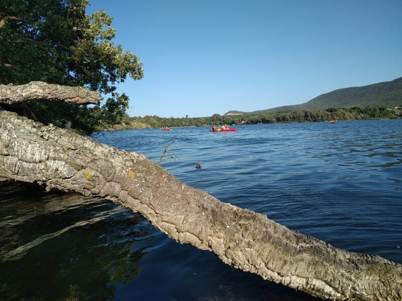 Circeo National Park:Guided kayak tour on the Lake Sabaudia - An Honest Look at the Experience