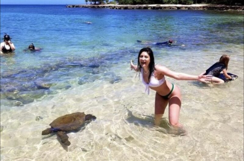 Circle Island: Swim with Turtles and Explore Paradise Oahu - Key Points