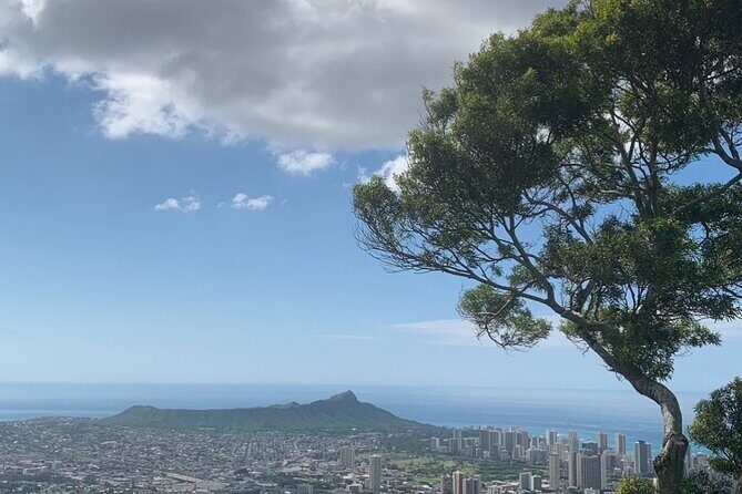 Circle Island Tour: Exclusively for Couples & Honeymooners - Discovering Oahu’s Top Vantage Points and Hidden Treasures