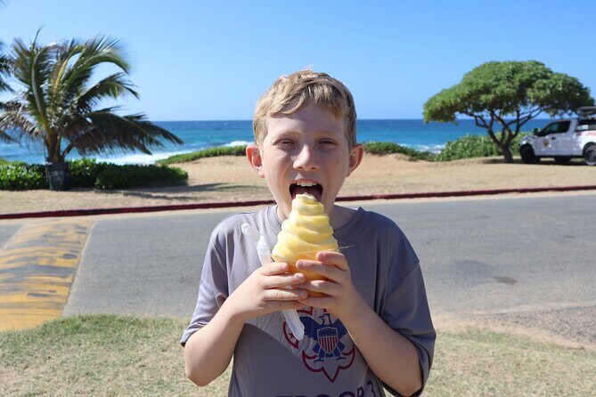 Circle Island Tour with Snorkeling & Turtles - The Sum Up