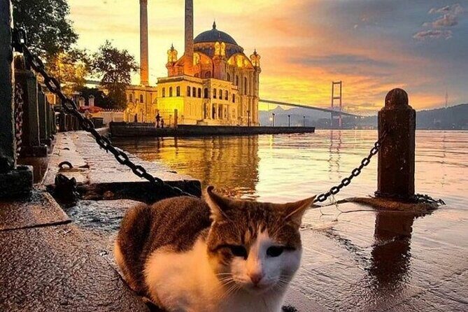 Circle Istanbul (Extraordinary Istanbul) - Final Thoughts