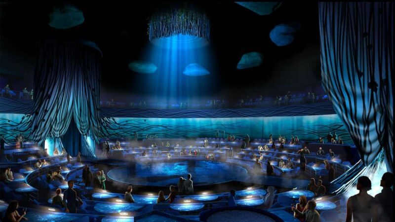 Cirque du Soleil LUDÕ  Nuevo Vallarta - Key Points