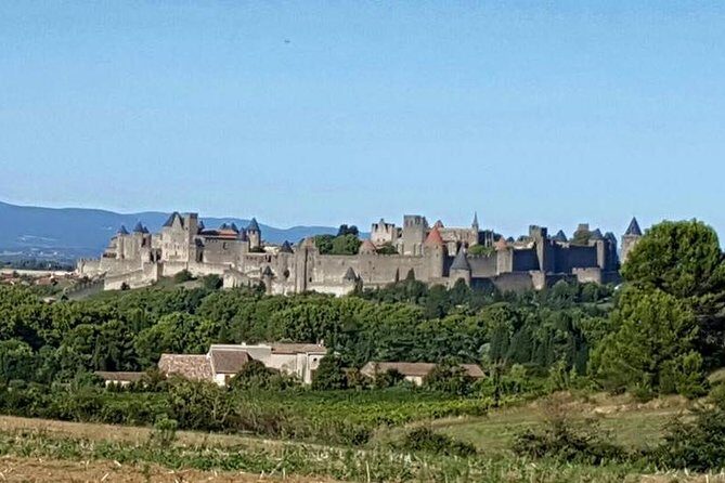 Cité de Carcassonne and Canal du Midi Private Half Day Tour from Toulouse - Who Would Love This Tour?