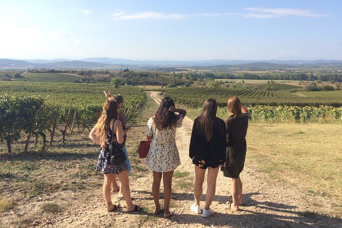 Cité de Carcassonne and Wine Tasting Private Day Tour from Toulouse - An Authentic Day Exploring France’s Medieval Marvels and Vineyard Charm
