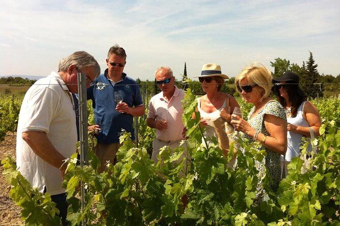 Cité de Carcassonne and Wine Tasting Private Day Tour from Toulouse - Who Should Consider This Tour?