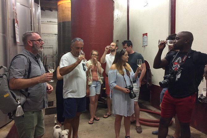 Cité de Carcassonne and Wine Tasting Private Day Tour from Toulouse - Final recommendation