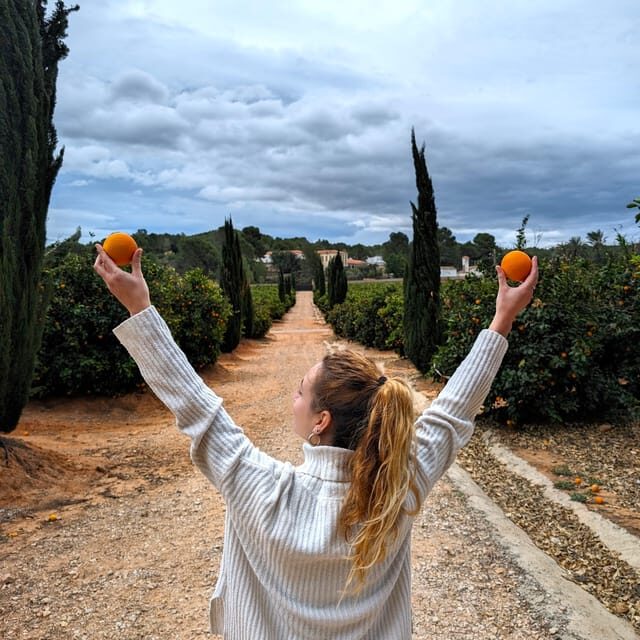 Citrus Treasures: Exploring Valencia's Orange Grove - Citrus Treasures: Exploring Valencias Orange Grove