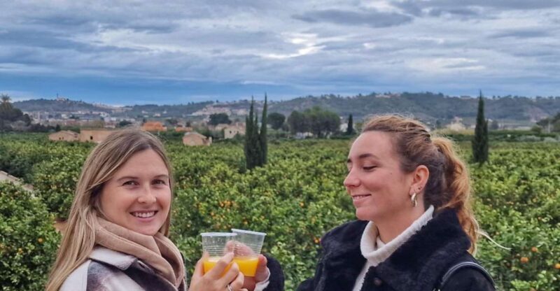 Citrus Treasures: Exploring Valencia's Orange Grove - Key Points