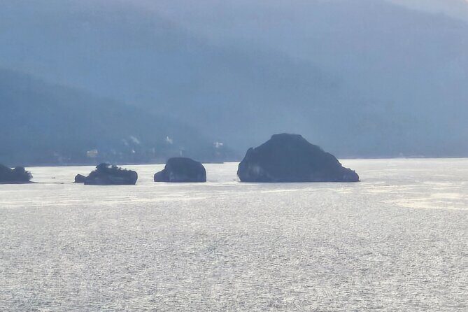 City and Tequila Puerto Vallarta Express Tour - Quick Overview of the City and Tequila Puerto Vallarta Express Tour