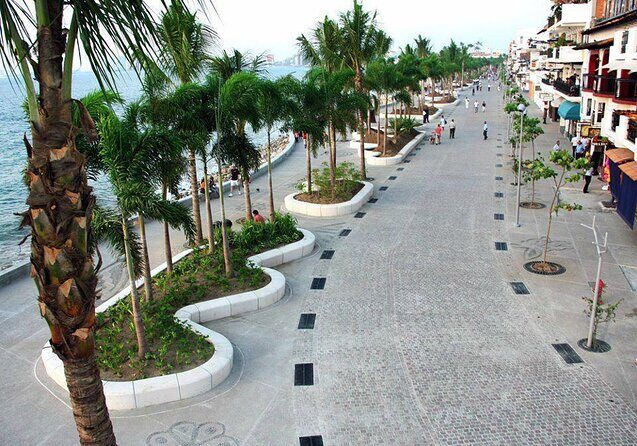 City and Tequila Tour in Puerto Vallarta - Exploring Puerto Vallarta’s Landmarks and Culture