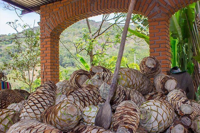 City and Tequila Tour in Puerto Vallarta - Authentic Regional Cuisine and Music