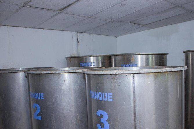 City and Tequila Tour in Puerto Vallarta - Practical Details and Considerations