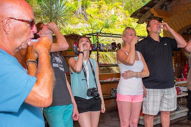 City and Tequila Tour in Puerto Vallarta - Who Will Love This Tour?